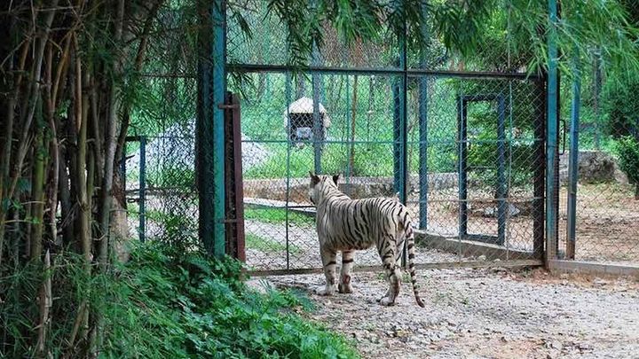 Bannerghatta Biological Park